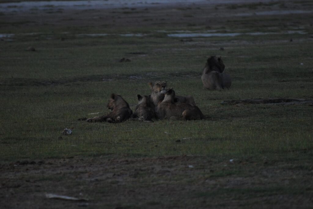 découvrez comment agir efficacement contre le changement climatique grâce à des actions concrètes et durables pour préserver notre planète.