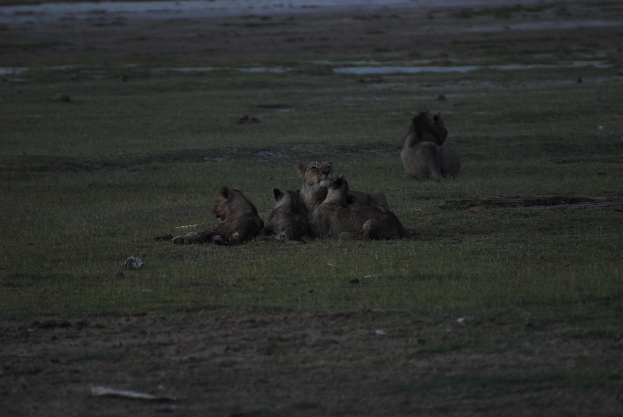 d&eacute;couvrez comment agir efficacement contre le changement climatique gr&acirc;ce &agrave; des actions concr&egrave;tes et durables pour pr&eacute;server notre plan&egrave;te.