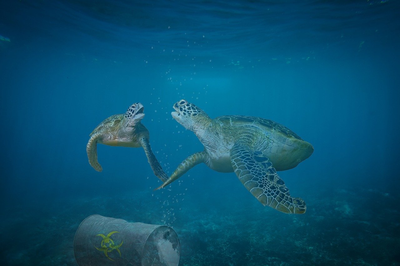 d&eacute;couvrez les enjeux environnementaux actuels, leurs impacts sur notre plan&egrave;te et les solutions pour un avenir durable.