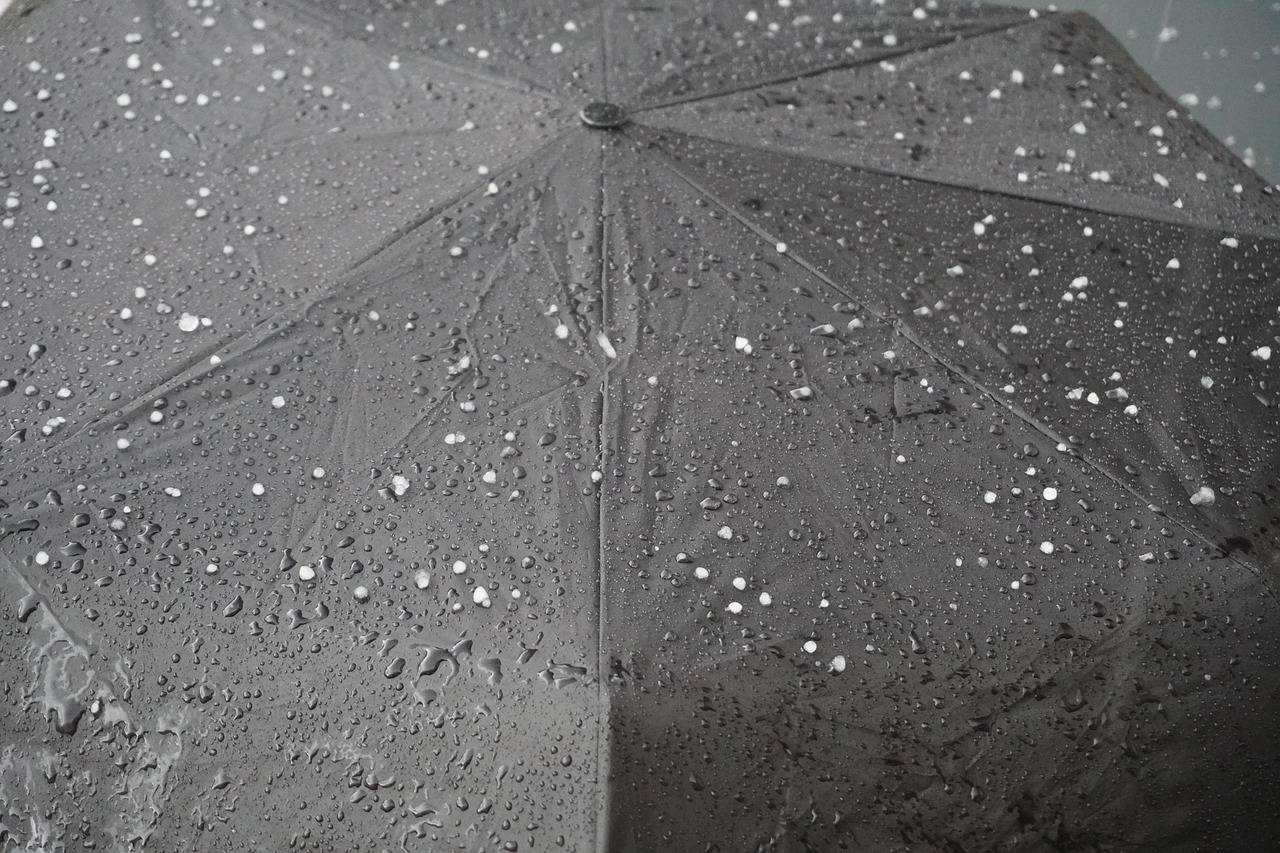 découvrez des initiatives et des solutions pour agir efficacement contre le changement climatique et préserver notre planète pour les générations futures.