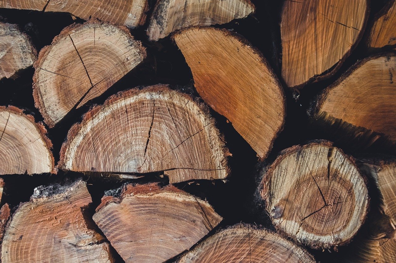 d&eacute;couvrez les causes, cons&eacute;quences et solutions &agrave; la d&eacute;forestation, un d&eacute;fi majeur pour l'environnement et la biodiversit&eacute;.