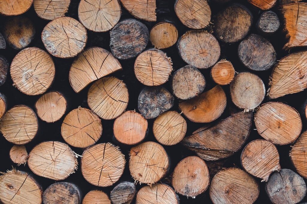 la déforestation : causes, impacts sur l'environnement et solutions pour préserver nos forêts.