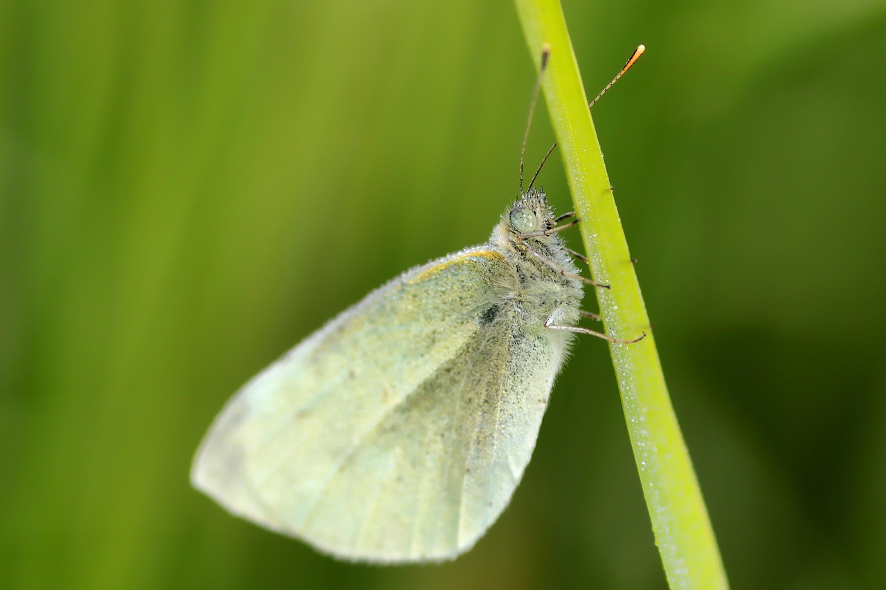d&eacute;couvrez notre bilan environnemental d&eacute;taillant nos engagements et actions pour la protection de la plan&egrave;te.