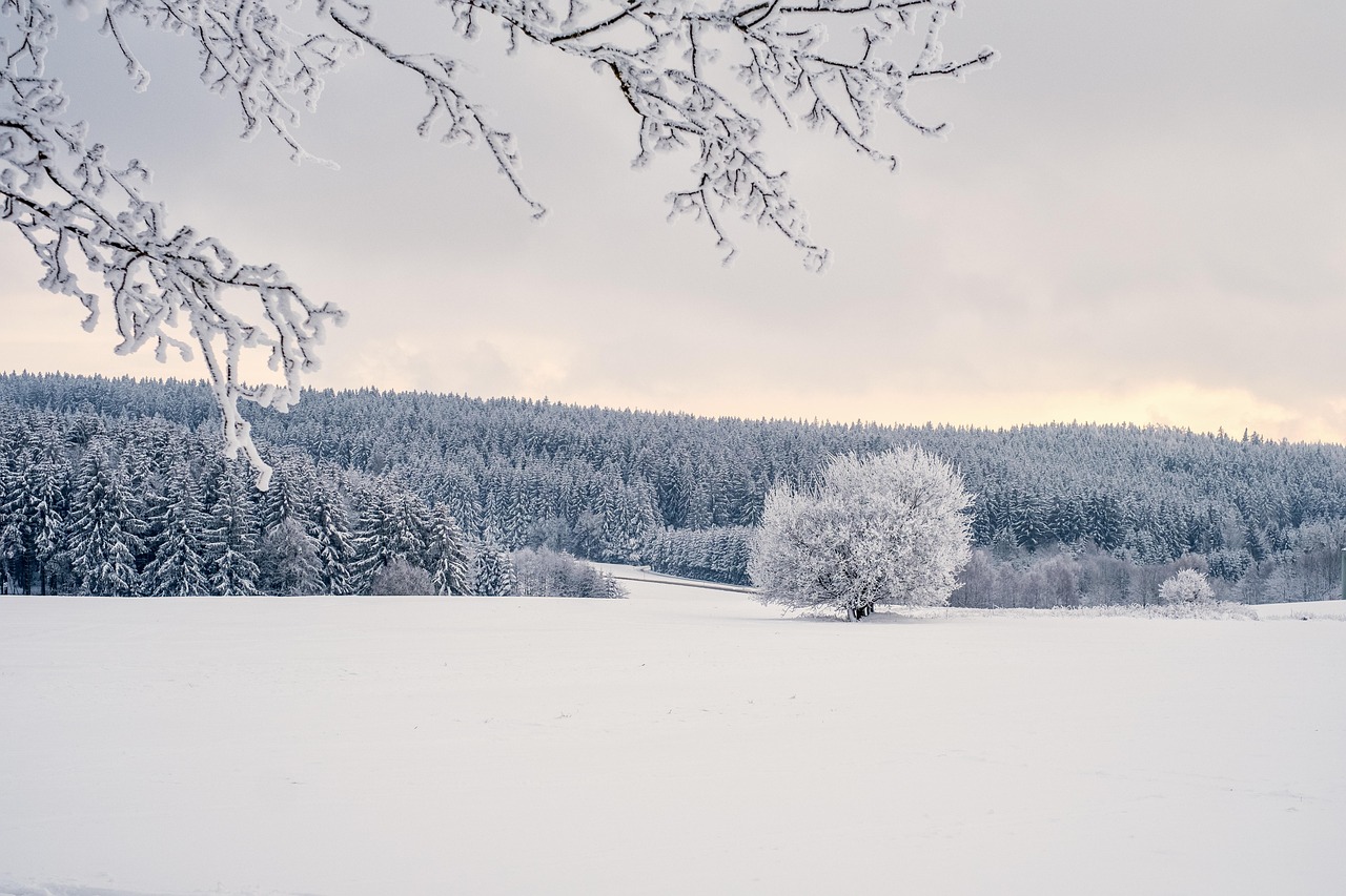 d&eacute;couvrez des paysages magnifiques alliant nature et s&eacute;r&eacute;nit&eacute;, parfaits pour s'&eacute;vader et se ressourcer.