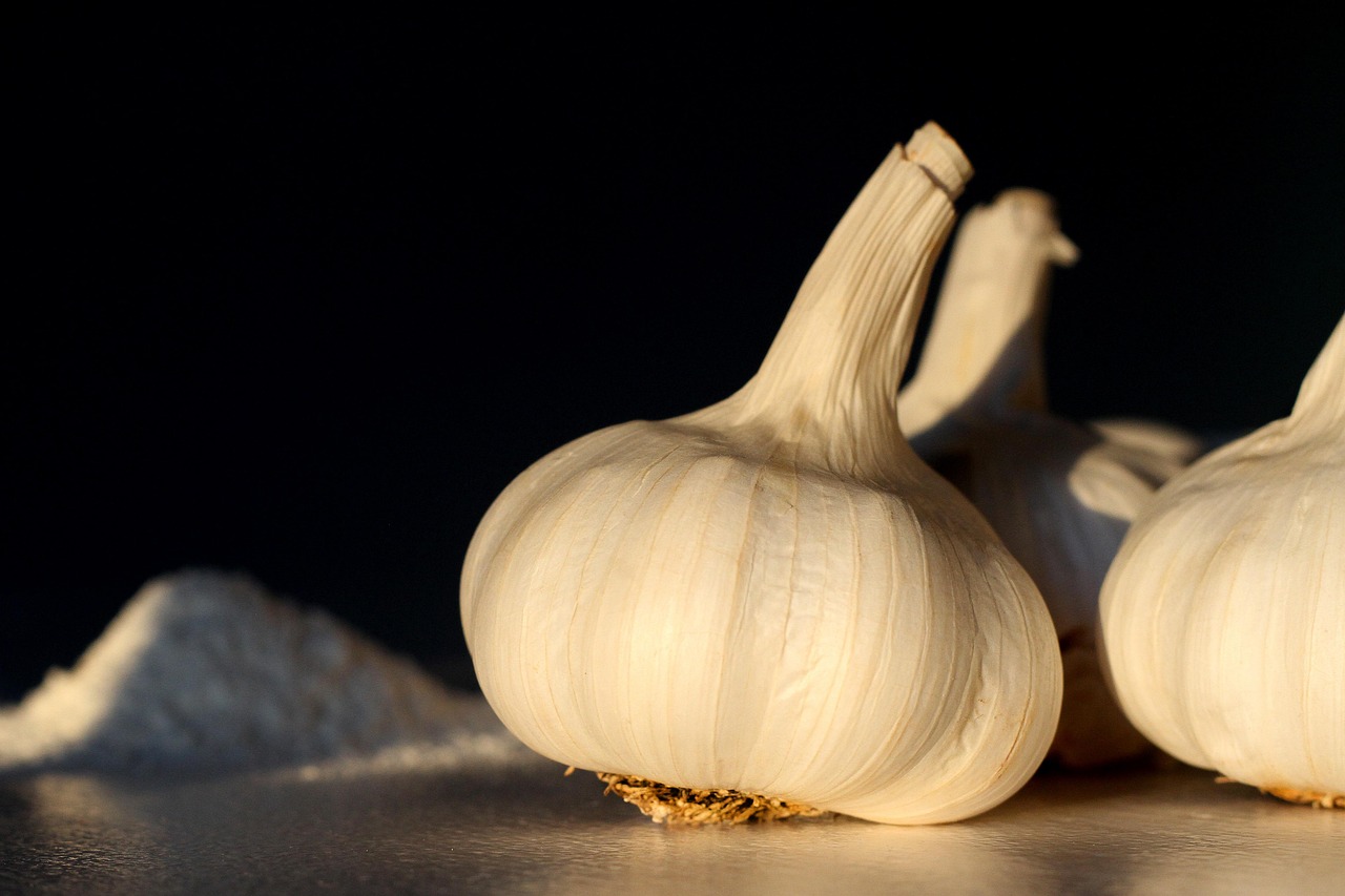 d&eacute;couvrez notre s&eacute;lection de condiments pour sublimer vos plats et rehausser toutes vos recettes avec des saveurs authentiques et vari&eacute;es.