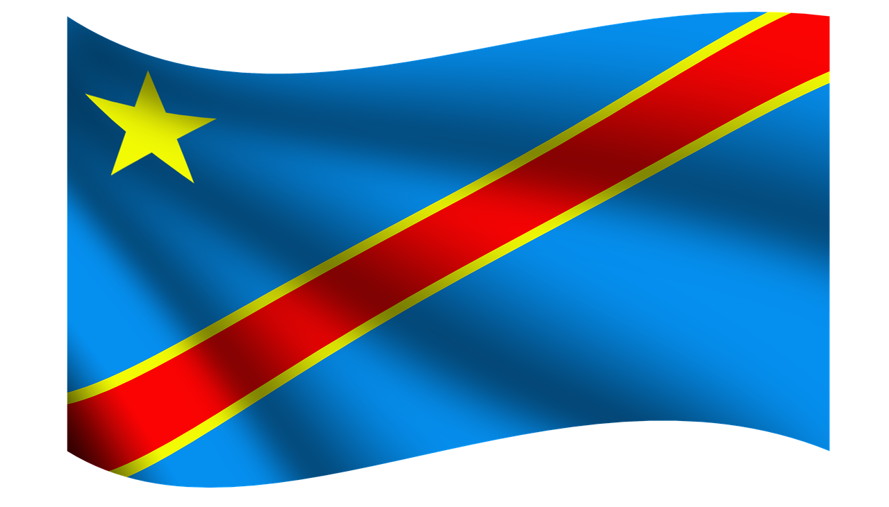 d&eacute;couvrez la richesse et la biodiversit&eacute; des for&ecirc;ts du congo, un &eacute;cosyst&egrave;me vital pour la plan&egrave;te et la conservation de la nature.