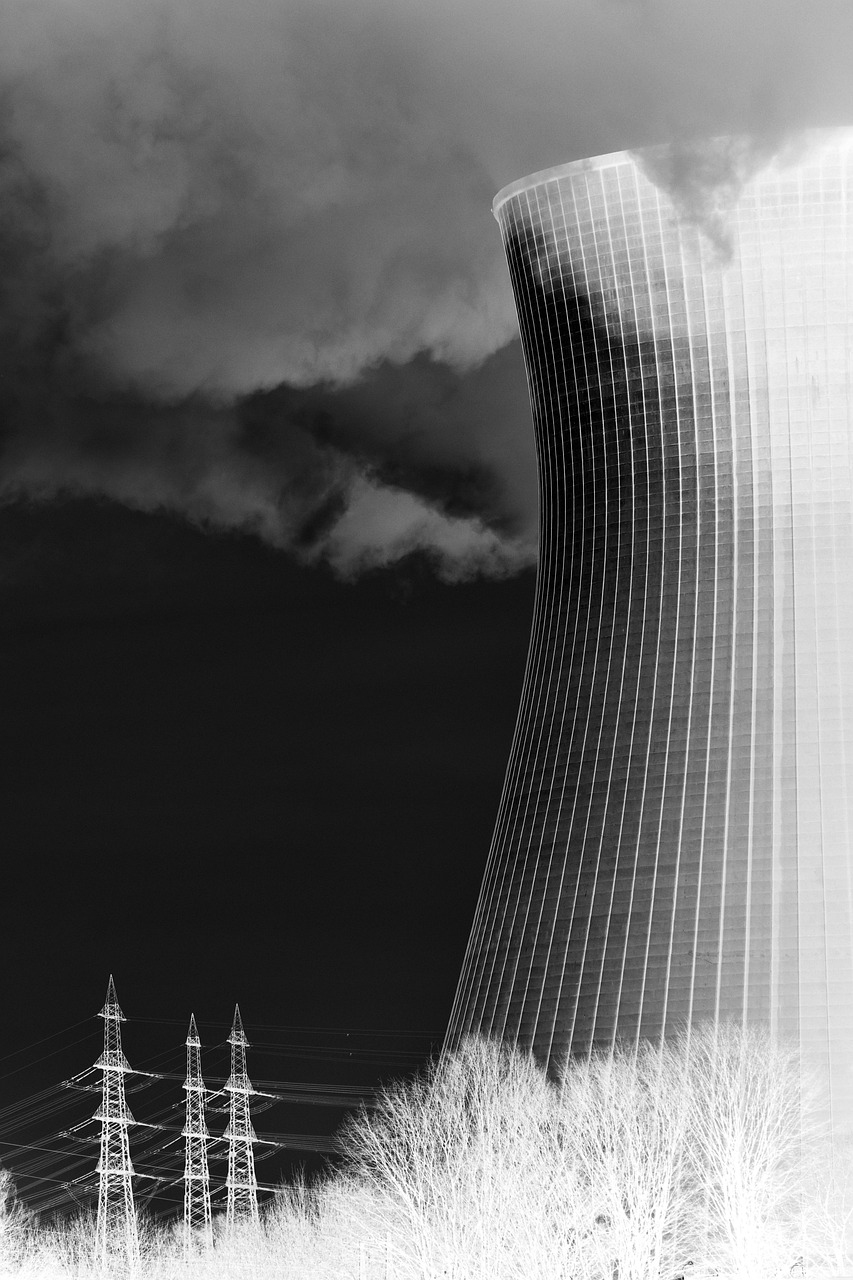 d&eacute;couvrez le statut actuel des r&eacute;acteurs nucl&eacute;aires dans l'union europ&eacute;enne, y compris les politiques, la production d'&eacute;nergie et les perspectives environnementales.