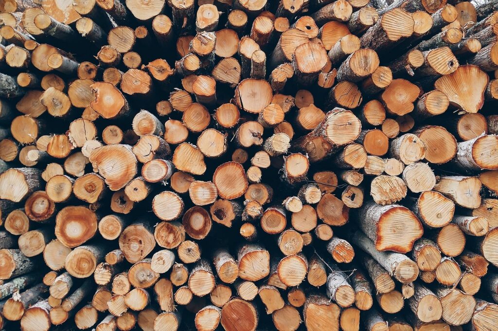 découvrez les causes, les conséquences et les solutions liées à la déforestation en amazonie, une crise environnementale majeure menaçant la biodiversité et le climat mondial.