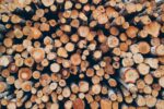 d&eacute;couvrez les causes, les cons&eacute;quences et les solutions li&eacute;es &agrave; la d&eacute;forestation en amazonie, une crise environnementale majeure mena&ccedil;ant la biodiversit&eacute; et le climat mondial.