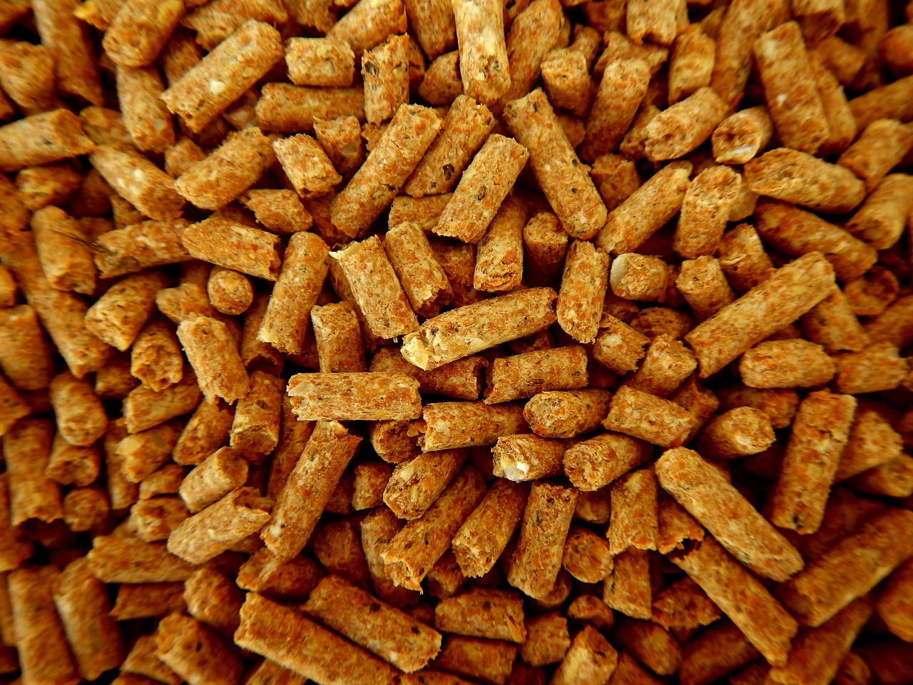 campagne d'achat en gros de granul&eacute;s de bois : b&eacute;n&eacute;ficiez de tarifs avantageux pour un approvisionnement durable et &eacute;conomique en pellets de bois.