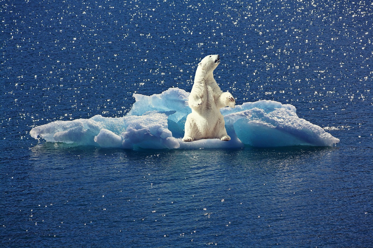 découvrez les enjeux du climat, les changements globaux et leurs impacts sur notre planète, ainsi que les solutions pour un avenir durable.