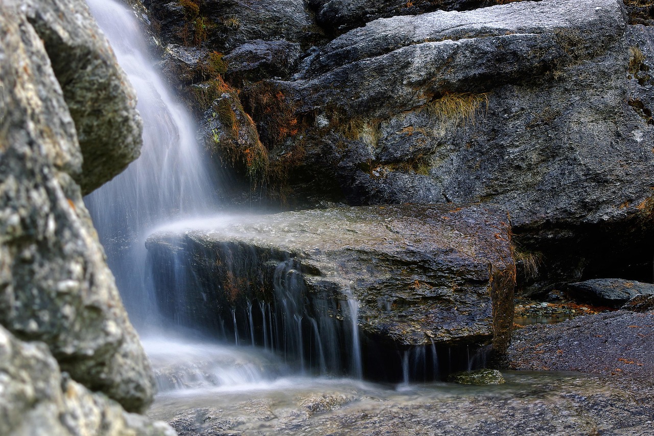 d&eacute;couvrez des informations essentielles et des conseils pratiques pour prot&eacute;ger et pr&eacute;server l'environnement, et agir en faveur d'un avenir durable.