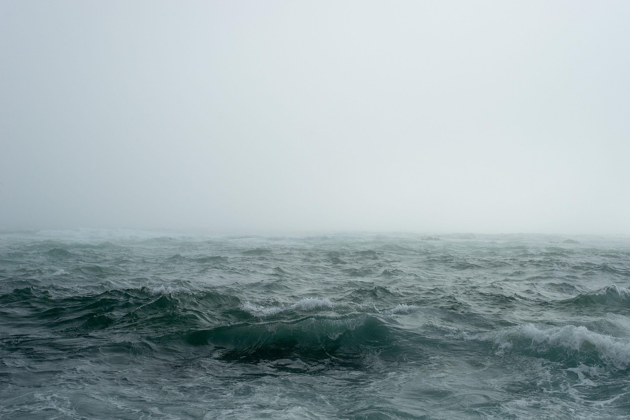 découvrez les causes et conséquences du réchauffement des océans, un phénomène inquiétant pour la biodiversité marine et le climat mondial.